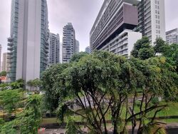 The Cairnhill (D9), Condominium #561586411